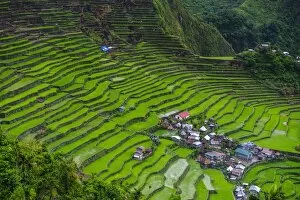 Images Dated 24th April 2011: Batad rice terraces, part of the UNESCO World Heritage Site of Banaue, Luzon, Philippines