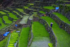 Batad rice terraces, part of the UNESCO World Heritage Site of Banaue, Luzon, Philippines, Southeast Asia, Asia