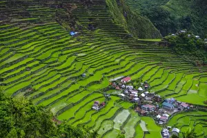 Batad rice terraces, part of the UNESCO World Heritage Site of Banaue, Luzon, Philippines, Southeast Asia, Asia
