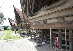 Lake Toba Prints: Batak style village houses in Buhit
