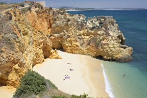 Sea Cliff Prints: Batata Beach