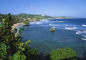 Bathsheba Prints: Bathsheba Coastline, Barbados East Coast