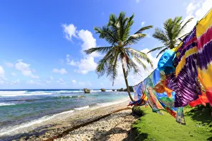 Barbados Prints: Bathsheba, colourful garments blow in the breeze, windswept palm trees, Atlantic waves
