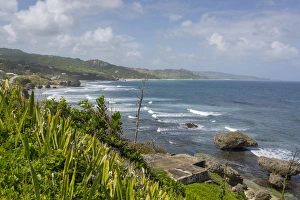 Barbados Prints: Bathsheba, St. Joseph, Barbados, West Indies, Caribbean, Central America