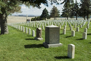 Graveyard Prints: Battlefield and graveyard