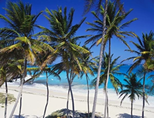 Bottom Bay Prints: Bottom Bay, Barbados, Caribbean