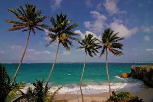 Barbados Prints: Bottom Bay beach, Barbados, West Indies, Caribbean, Central America