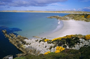 Islas Malvinas Prints: Bay on the coast near Stanley, Falkland Islands