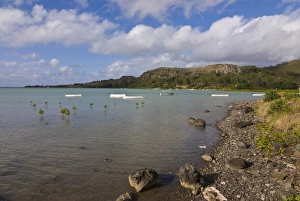 Rodrigues Prints: Bay on the island of Rodrigues, Mauritius, Indian Ocean, Africa