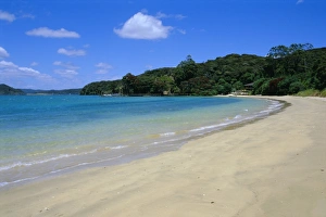Northland Prints: Bay of Islands