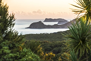 Bay of Islands coastline at sunrise, seen from Russell, Northland Region, North Island