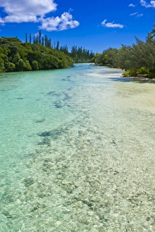 New Caledonia Prints: Bay de Oro, Ile des Pins, New Caledonia, Melanesia, South Pacific, Pacific