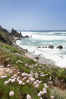 Uncultivated Prints: Bay of Rena Maiore at the west coast, Gallur, Sardinia, Italy, Mediterranean, Europe
