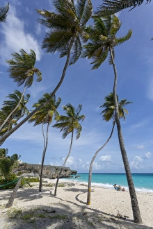 Barbados Prints: Bottom Bay, St. Philip, Barbados, West Indies, Caribbean, Central America