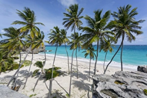 Bottom Bay, St. Philip, Barbados, West Indies, Caribbean, Central America
