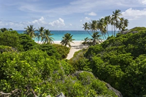 Bottom Bay, St. Philip, Barbados, West Indies, Caribbean, Central America