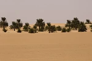 Images Dated 13th September 2005: Bayuda Desert, Sudan, Africa