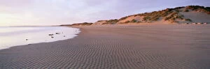 Panorama Collection: Beach at Alnmouth in dawn light with ripples and sand dunes, near Alnwick