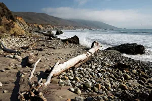 State Park Prints: Beach at Andrew Molera State Park