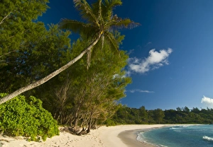 Images Dated 30th October 2006: Beach of Anse Cocos, La Digue, Seychelles, Indian Ocean, Africa