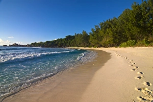 Images Dated 30th October 2006: Beach Anse Cocos, La Digue, Seychelles, Indian Ocean, Africa