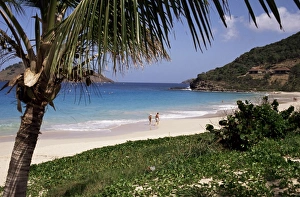 St Barthelemy Prints: Beach at Anse des Flamands, St