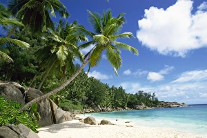Anse Intedance Prints: Beach, Anse Intedance