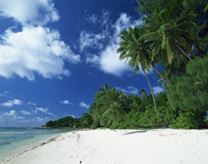 La Digue Prints: Beach, Anse Severe