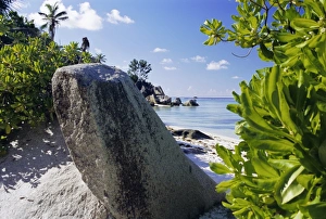 Lush Vegetation Prints: Beach, Anse Source d Argent
