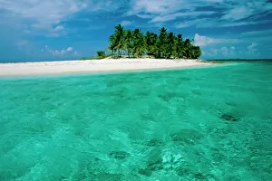 Bahamas Prints: Empty beach, Bahamas