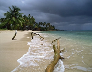 Beach, Barbados, West Indies, Caribbean, Central America