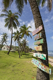 Barbados Prints: Beach, Bathsheba, St. Joseph, Barbados, West Indies, Caribbean, Central America
