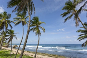 Beach, Bathsheba, St. Joseph, Barbados, West Indies, Caribbean, Central America