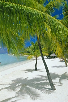 Shades Prints: Beach, Bora Bora (Borabora)