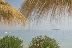 Beach cafe