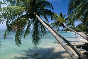 Wonderful Prints: Beach, Capesterre region