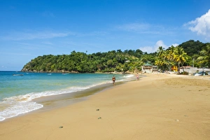 Tobago Prints: Beach of Castara, Tobago, Trinidad and Tobago, West Indies, Caribbean, Central America
