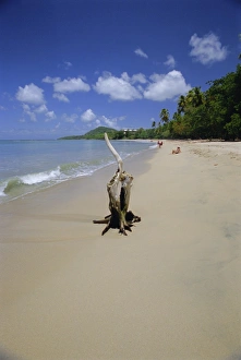 Saint Lucia Prints: Beach at Choc Bay, St