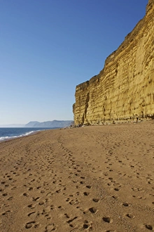 Sea Cliffs Prints: Beach and cliffs, Burton Bradstock, Jurassic Coast, UNESCO World Heritage Site