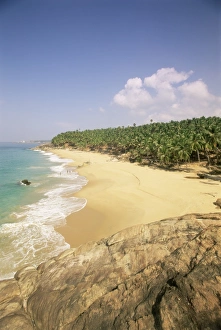 Kovalam Prints: Beach and coconut palms