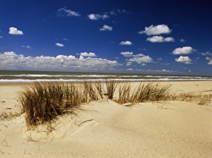 Beach, Cote d Argent, Gironde, Aquitaine, France, Europe