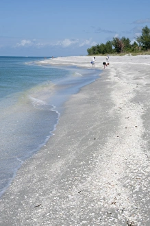 Beach covered in shells, Captiva Island, Gulf Coast, Florida, United States of America