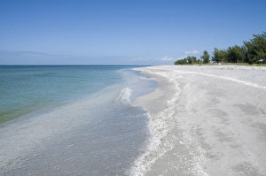 Shells Prints: Beach covered in shells, Captiva Island, Gulf Coast, Florida, United States of America