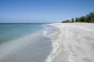 Images Dated 22nd October 2009: Beach covered in shells, Captiva Island, Gulf Coast, Florida, United States of America