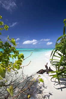 Maldives Prints: Beach on desert island, Maldives, Indian Ocean, Asia