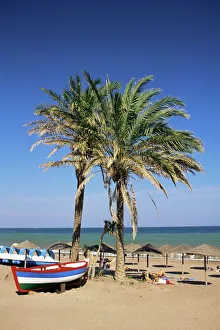 Palm Prints: Beach at Estepona