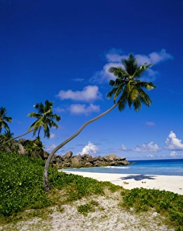Grand Anse Prints: Beach, Grand Anse