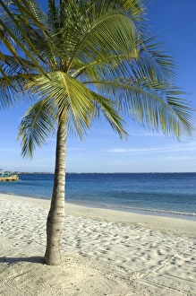 Images Dated 26th September 2007: Beach at Harbour Village Resort, Bonaire, Netherlands Antilles, Caribbean