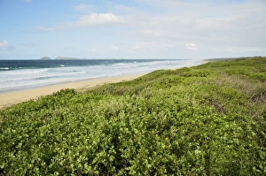 Beach at Hawks Nest, New South Wales, Australia, Pacific