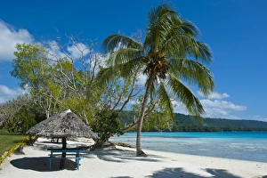 Thatched Prints: Beach hut at Champagne beach, Island of Espiritu Santo, Vanuatu, South Pacific, Pacific